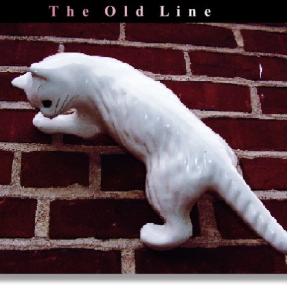 ISO (In Search Of) I DO NOT OWN THIS PRODUCT. Cat Wall Climber.